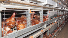 Globally, food and agriculture account for more than one-third of annual emissions